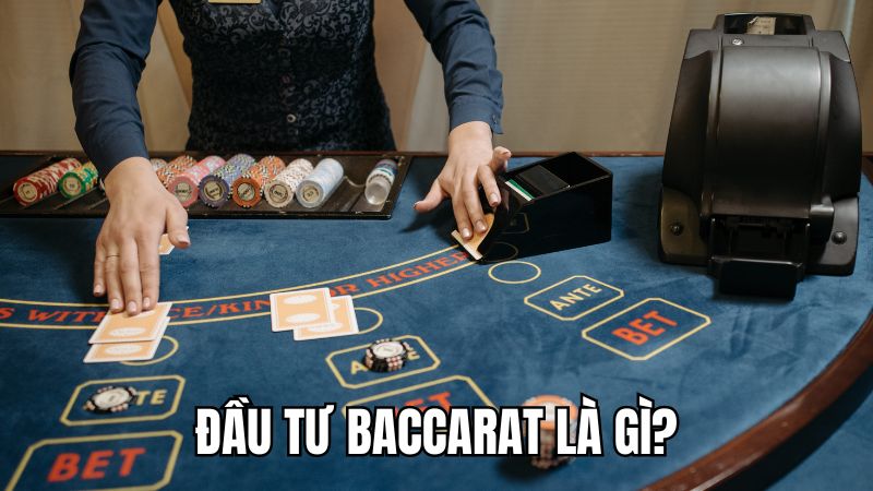Đầu tư Baccarat là gì?